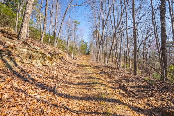 Acreage for Sale Adjoining Primland Resort