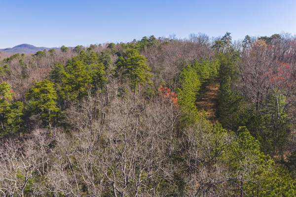 Acreage for Sale Adjoining Primland Resort