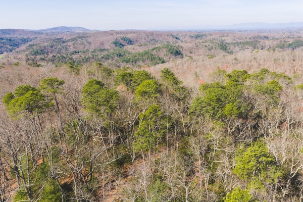 Acreage for Sale Adjoining Primland Resort
