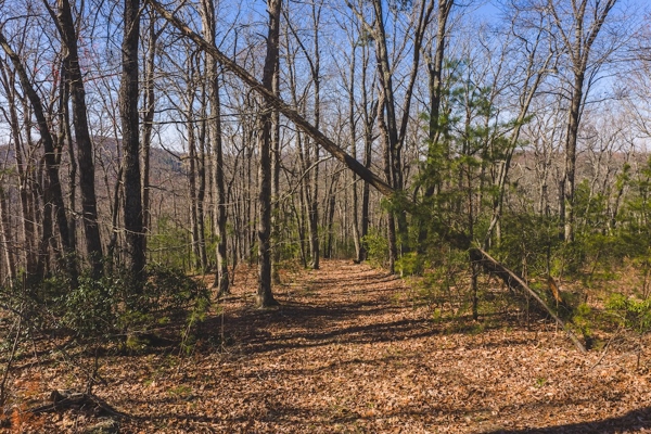 Acreage for Sale Adjoining Primland Resort