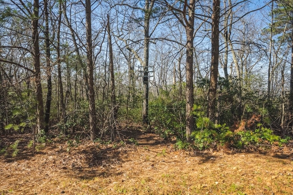 Acreage for Sale Adjoining Primland Resort