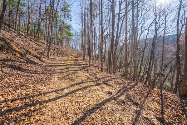 Acreage for Sale Adjoining Primland Resort