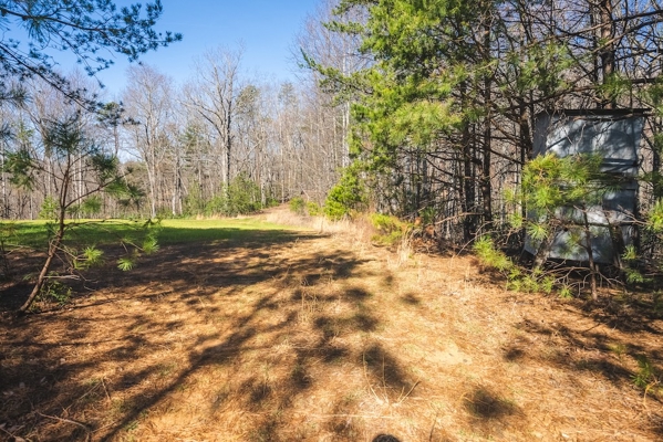 Acreage for Sale Adjoining Primland Resort