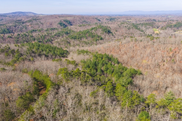 Acreage for Sale Adjoining Primland Resort