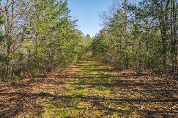 Acreage for Sale Adjoining Primland Resort