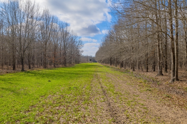 330+/- Acre Deer and Duck Hunting Property with a Camp