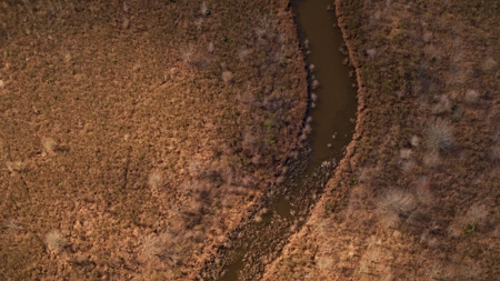 330+/- Acre Deer and Duck Hunting Property with a Camp - image 35