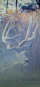 330+/- Acre Deer and Duck Hunting Property with a Camp - image 22