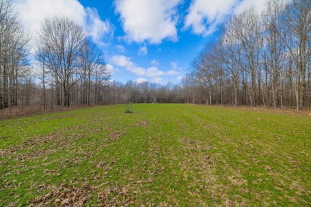 330+/- Acre Deer and Duck Hunting Property with a Camp - image 7