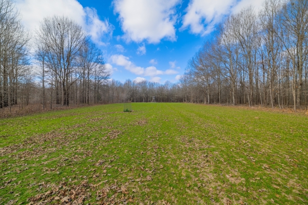 330+/- Acre Deer and Duck Hunting Property with a Camp