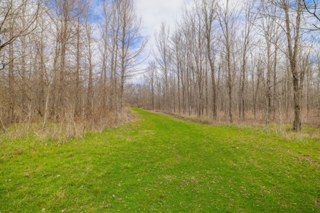 330+/- Acre Deer and Duck Hunting Property with a Camp - image 14