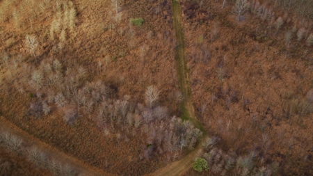 330+/- Acre Deer and Duck Hunting Property with a Camp - image 31