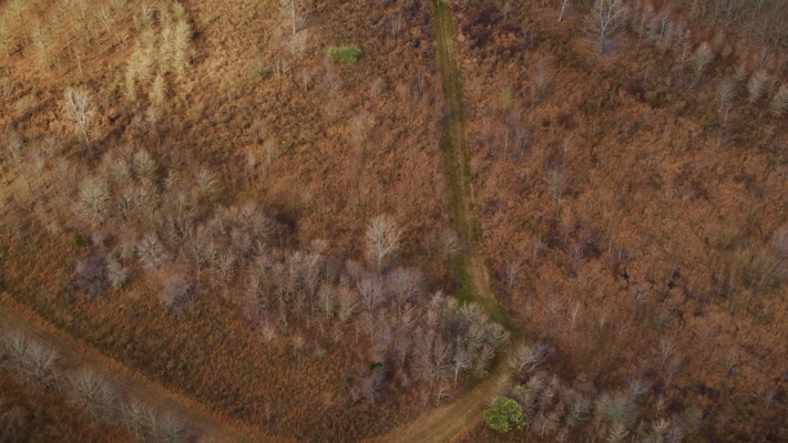 330+/- Acre Deer and Duck Hunting Property with a Camp