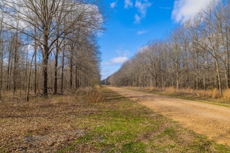 330+/- Acre Deer and Duck Hunting Property with a Camp - image 8