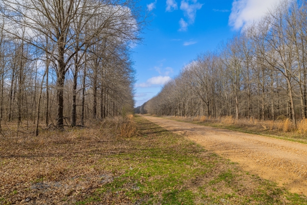 330+/- Acre Deer and Duck Hunting Property with a Camp