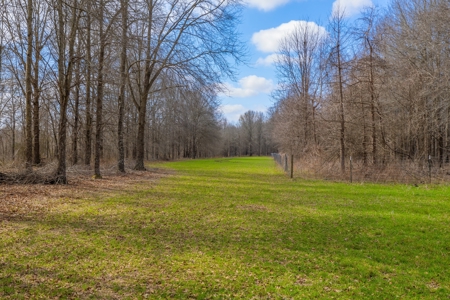 330+/- Acre Deer and Duck Hunting Property with a Camp - image 15
