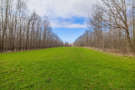 330+/- Acre Deer and Duck Hunting Property with a Camp - image 13