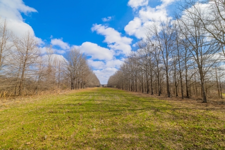 330+/- Acre Deer and Duck Hunting Property with a Camp - image 9