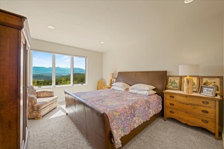 Mountain and Lake View Luxury Home near Ridgway and Telluride - image 30