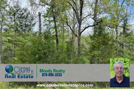 Ozarks Wooded Property For Sale Mammoth Spring Arkansas - image 18