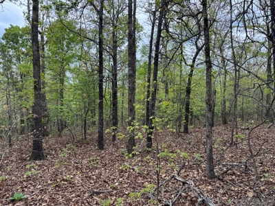 Ozarks Wooded Property For Sale Mammoth Spring Arkansas - image 5