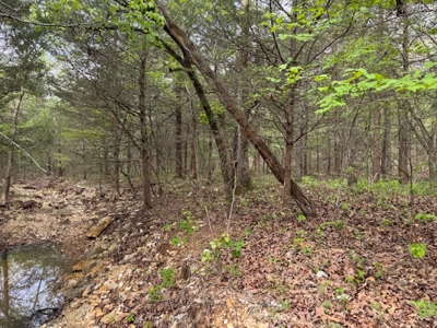 Ozarks Wooded Property For Sale Mammoth Spring Arkansas - image 12