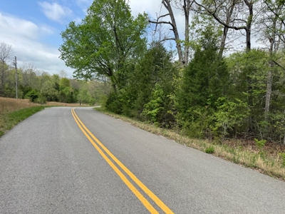 Ozarks Wooded Property For Sale Mammoth Spring Arkansas - image 2