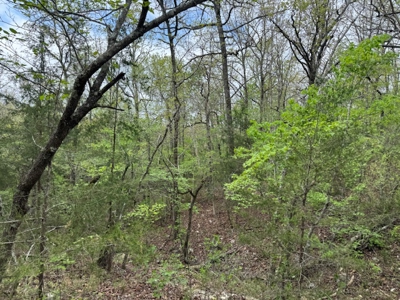 Ozarks Wooded Property For Sale Mammoth Spring Arkansas - image 7