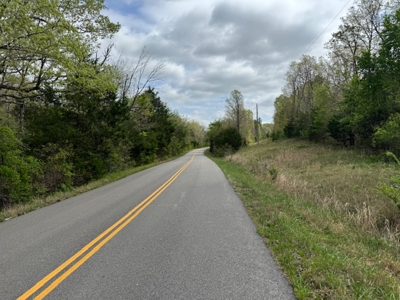 Ozarks Wooded Property For Sale Mammoth Spring Arkansas - image 16