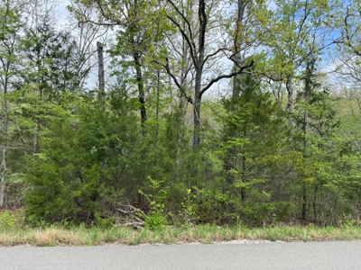 Ozarks Wooded Property For Sale Mammoth Spring Arkansas - image 17