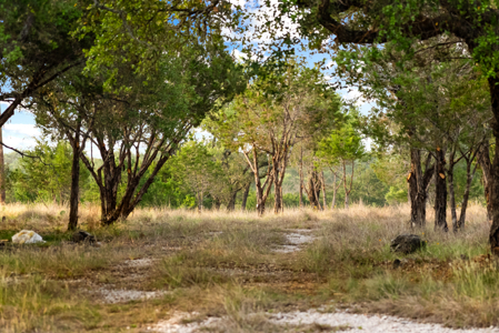 Johnson City, TX Acreage for Sale with Utilities and Water - image 3