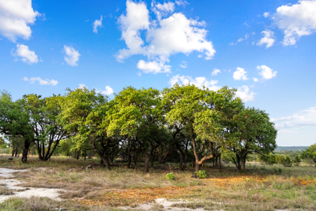 Johnson City, TX Acreage for Sale with Utilities and Water - image 17