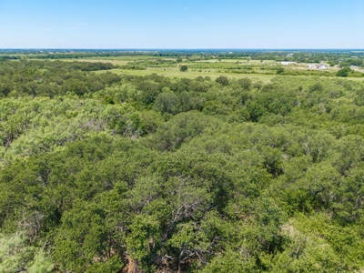 55 Acres of Prime Texas Land with Water, Power & Endless Opps - image 10