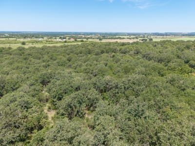 55 Acres of Prime Texas Land with Water, Power & Endless Opps - image 16