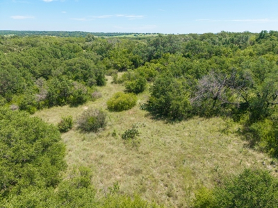 55 Acres of Prime Texas Land with Water, Power & Endless Opps - image 7
