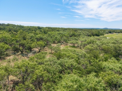 55 Acres of Prime Texas Land with Water, Power & Endless Opps - image 15
