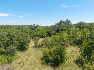 55 Acres of Prime Texas Land with Water, Power & Endless Opps - image 25