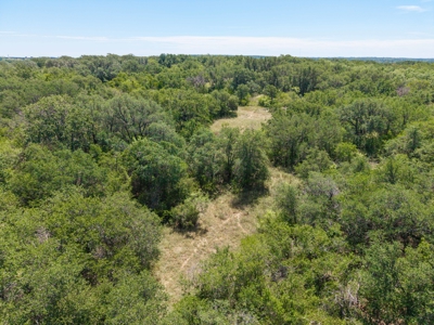 55 Acres of Prime Texas Land with Water, Power & Endless Opps - image 1