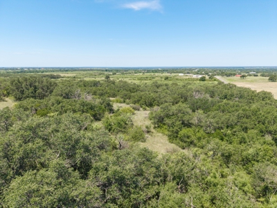 55 Acres of Prime Texas Land with Water, Power & Endless Opps - image 12