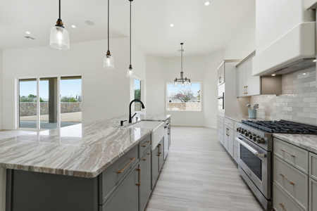 Refined Desert Living in Las Cruces, NM - image 15