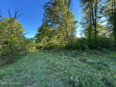 277± Acres Hinds/Copiah Line with Creek & Income - image 29