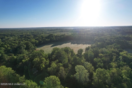 277± Acres Hinds/Copiah Line with Creek & Income - image 1