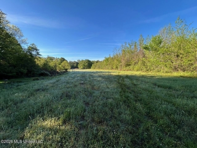 277± Acres Hinds/Copiah Line with Creek & Income - image 28