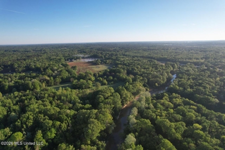 277± Acres Hinds/Copiah Line with Creek & Income - image 8