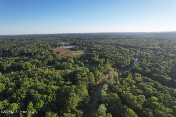 266± Acres Hinds/Copiah Line with Creek & Income