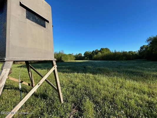 266± Acres Hinds/Copiah Line with Creek & Income