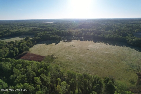 277± Acres Hinds/Copiah Line with Creek & Income - image 12