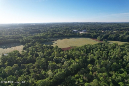 277± Acres Hinds/Copiah Line with Creek & Income - image 4