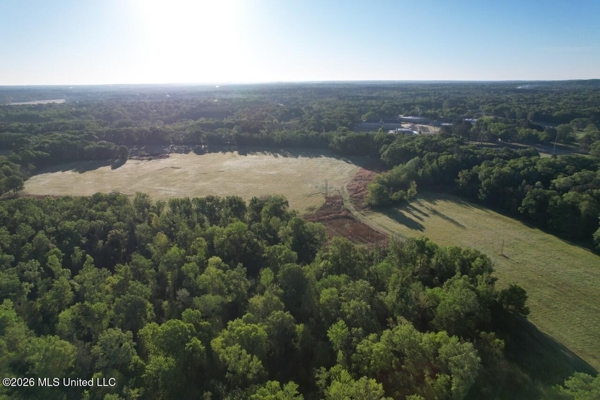 266± Acres Hinds/Copiah Line with Creek & Income