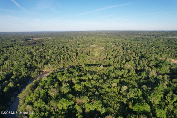 266± Acres Hinds/Copiah Line with Creek & Income